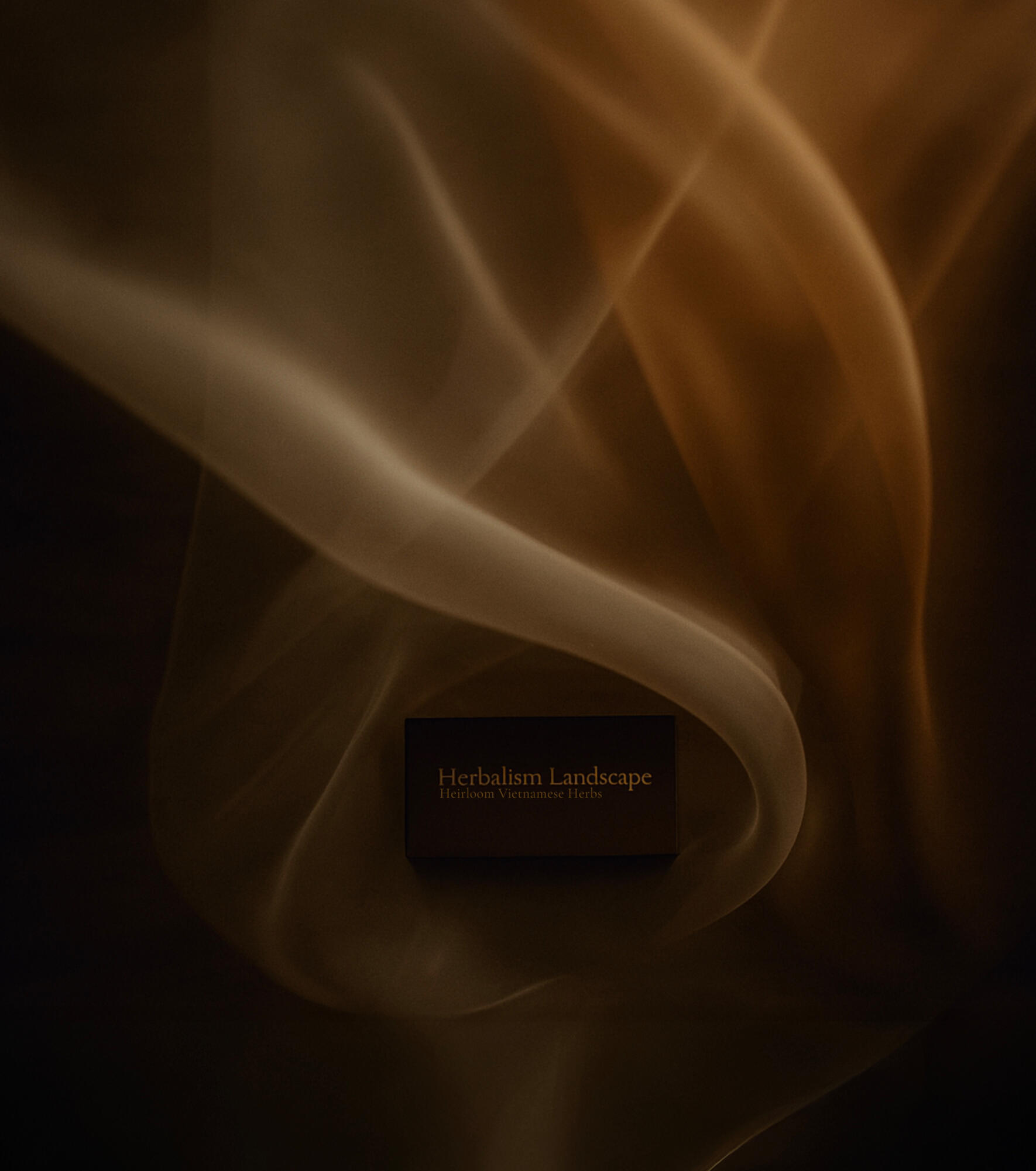 Hành trình 30 ngày