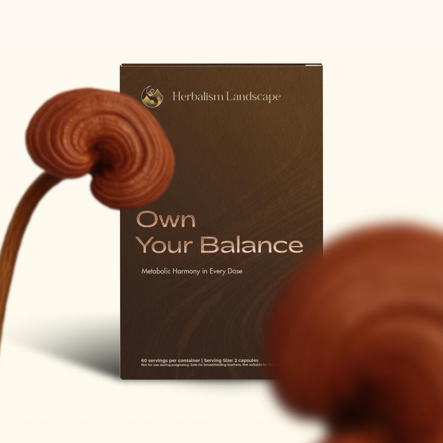 90 ngày|Chuyển hoá đa tầng ➤